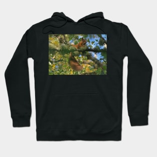 Red Squirrel Hoodie